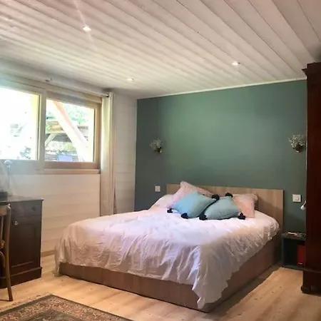 Chalet Chalet En Plein Centre De Chamonix Mont Blanc