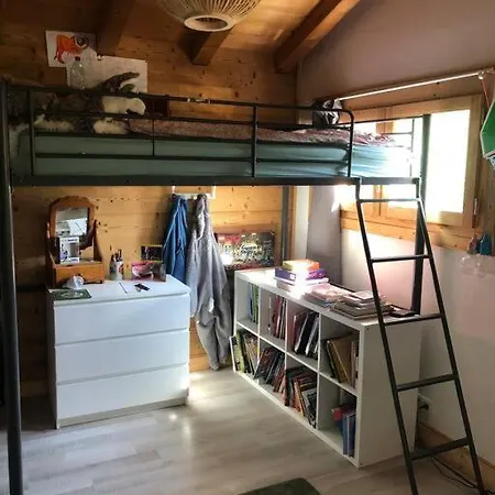 Chalet Chalet En Plein Centre De Chamonix Mont Blanc